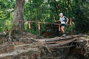 BIB: 
                            <button type="button" onclick="openModal(27801942)" class="btn btn-primary btn-sm float-right btn-popup" data-toggle="modal" data-target=".modal-high-quality">
                        <i class="fas fa-shopping-cart"></i> Add to Cart
                    </button>
                                            <button type="button" onclick="isThisMe(27801942, true)" class="btn btn-success btn-sm float-right btn-popup btn-isme hidden" data-toggle="tooltip" data-placement="bottom" title="นี่คือรูปของคุณใช่ไหม คลิกที่นี่เพื่อเอาเข้าอัลบั้ม">
                        <i class="fas fa-plus"></i> Add to album
                    </button>
                    <button type="button" onclick="isThisMe(27801942, false)" class="btn btn-warning btn-sm float-right btn-popup btn-isnotme hidden">
                        <i class="fas fa-ban"></i> Remove from album
                    </button>